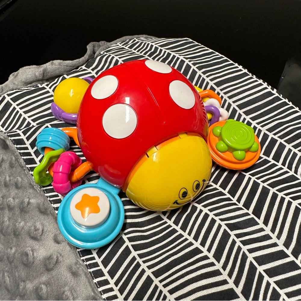 Ladybug Crawling Toy